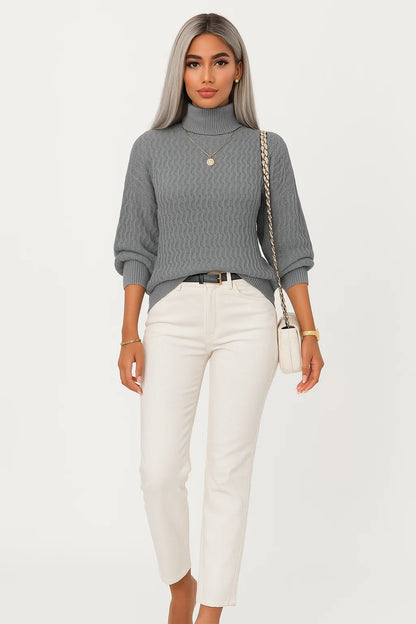 Pull Col Roulé à Maille Texturée