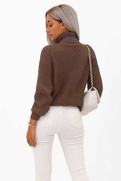 Pull Col Roulé à Maille Texturée